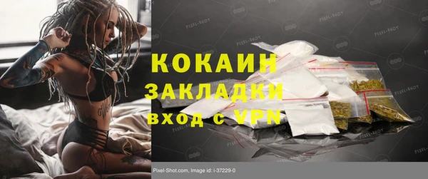 дживик Абинск