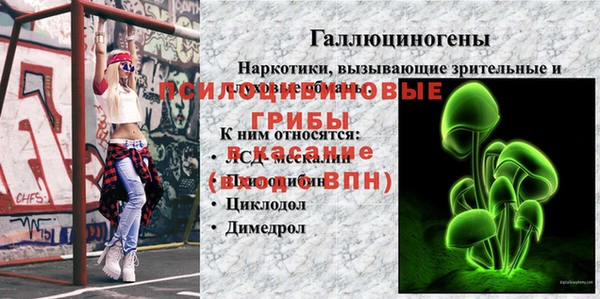 дживик Абинск