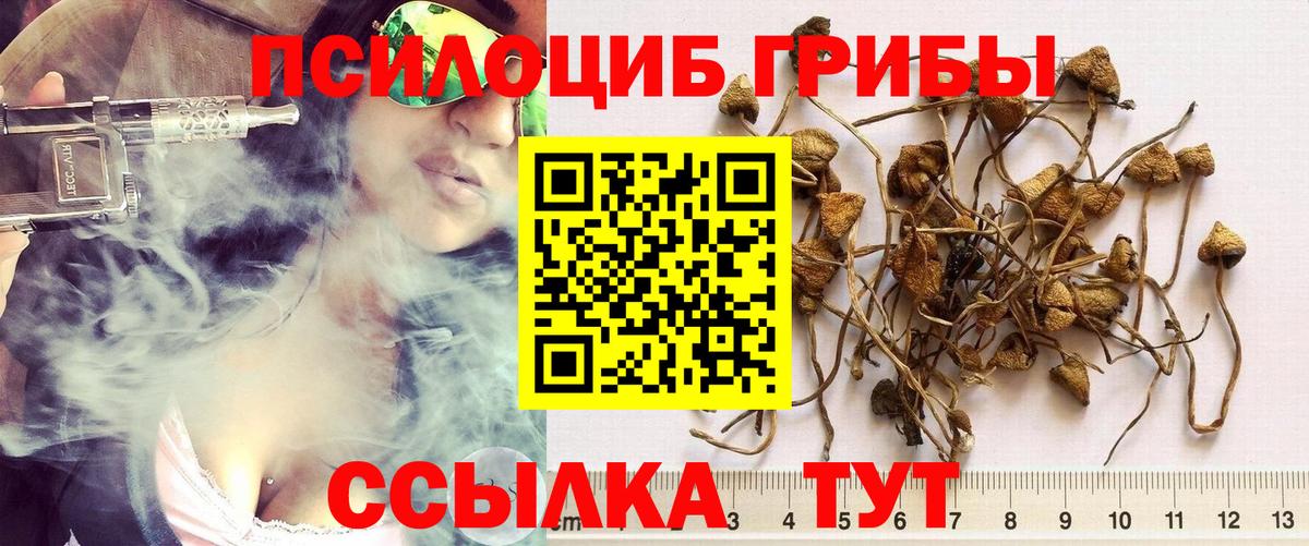 Галлюциногенные грибы мицелий  Вход с VPN  Псилоцибиновые грибы GOLDEN TEACHER  Нижневартовск 