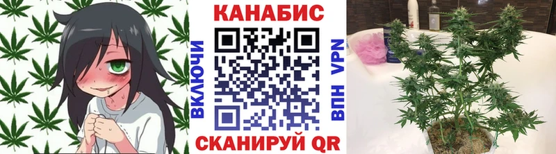 где продают   Нижневартовск  Бошки Шишки OG Kush 